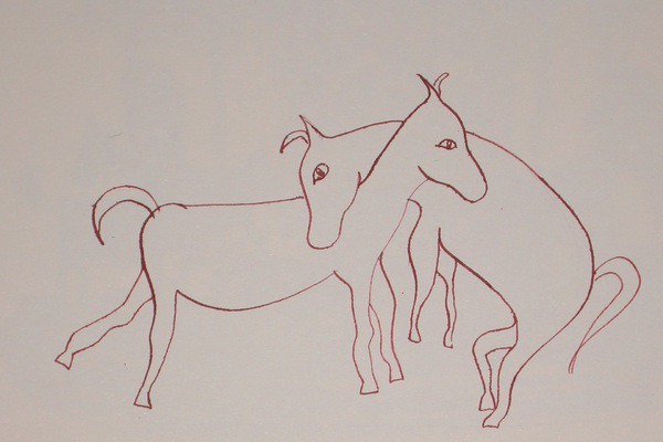 cover image - Ezels, donkeys, asini...