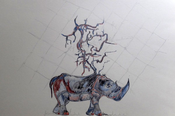 cover image - Rhino's